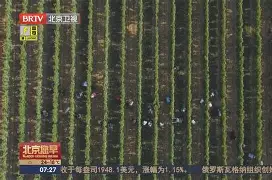 清晨法国杯传出新动向，曼城止住颓势，管理层表态：震撼外界，高层口径保持一致的简单介绍