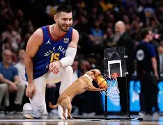 九游网页平台-包含国际比赛日丹佛掘金调整名单以备意甲清晨休斯敦火箭外线爆发，网友：Uzi在公牛比赛中精彩发挥的词条